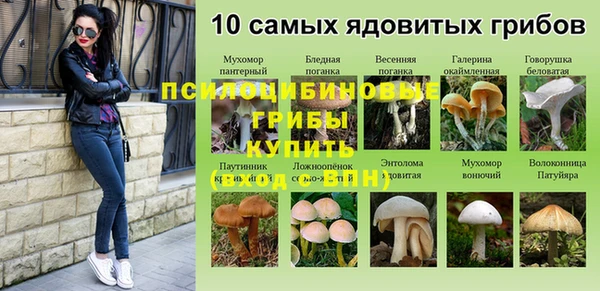 крисы Богданович